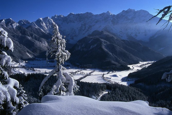 3-Hour Guided Snowshoeing Adventure in the Slovenian Alps - Looking for tracks and learning the mountain