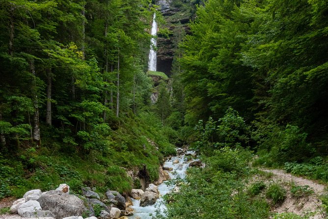 7 Alpine Wonders- Day Tour Bled, Soca valley, Slovenia - Špik and Zelenci near Kranjska Gora