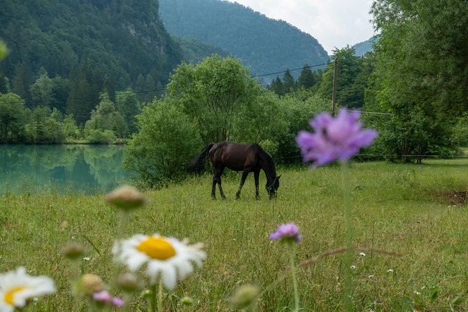 7 Alpine Wonders- Day Tour Bled, Soca valley, Slovenia - Early start through Radovna Valley