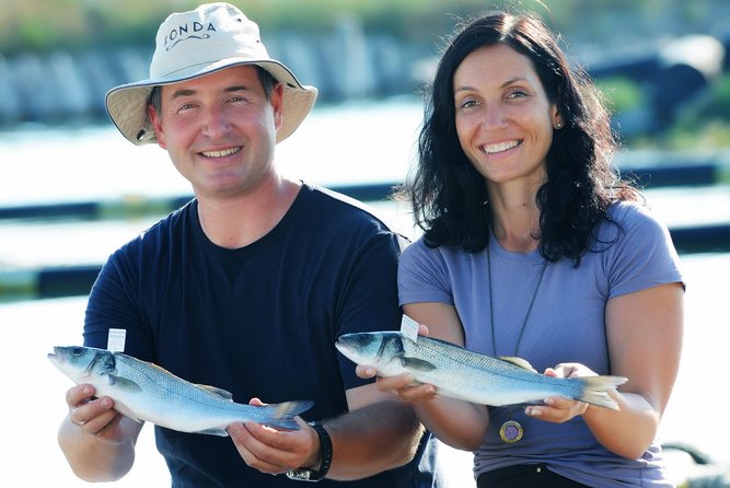 An Unforgettable Day With Fish, Wine and Olive Oil Tasting - From Portorož at 11:00 am