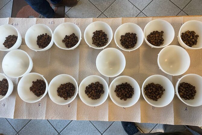Barista Skills Foundation Course in Ljubljana - Getting there and planning your day