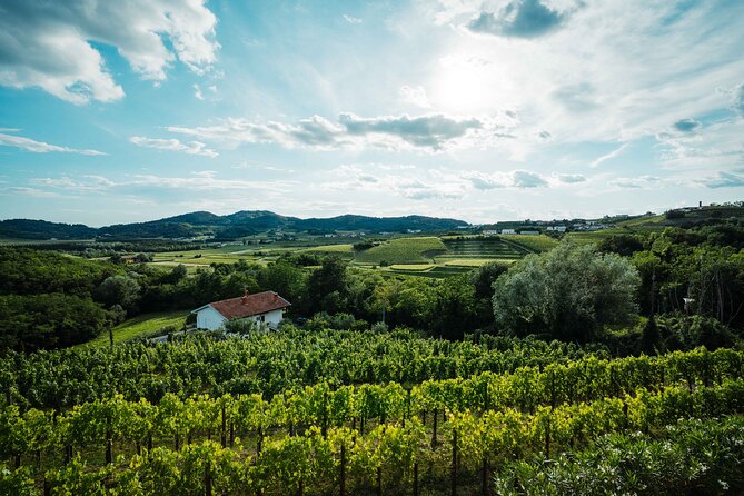 Bike Slovenia Green: Alps to Adriatic 8 days cycling tour - Day 4: Historic railway, the Soča River, and Brda wine