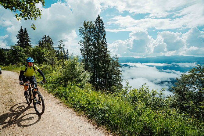 Bike Slovenia Green: Alps to Adriatic 8 days cycling tour - Day 6: Caves, Karst food, and Lipica horses