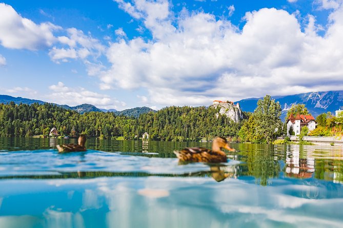 Bled & Bohinj lakes with Skofja Loka | Private trip from Ljubljana - Is $888.18 good value for two?