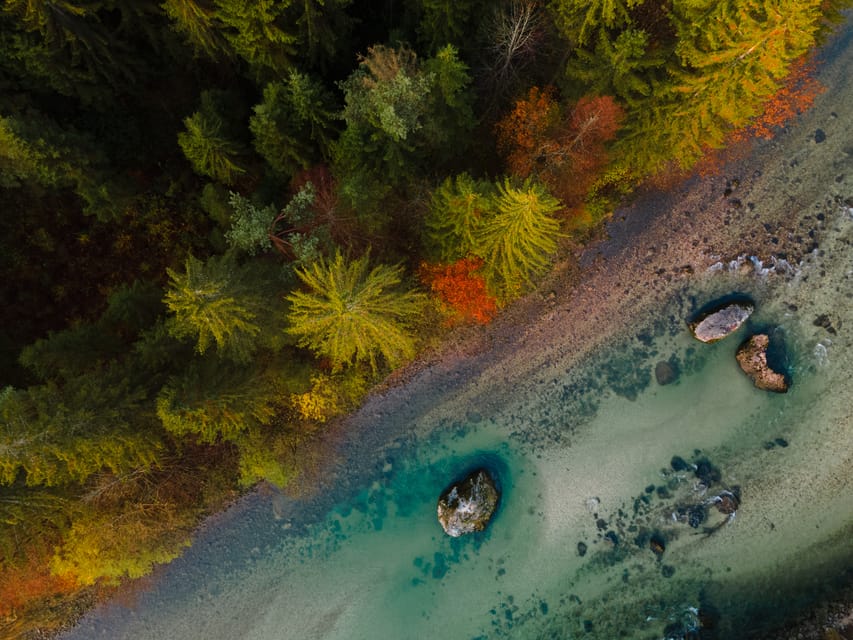 Bled: Sava River Kayaking Tour - Cancellation and booking flexibility