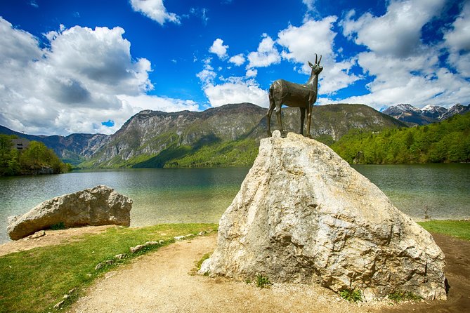 Bled to Lake Bohinj Trip - Pokljuka Plateau and its pine forests
