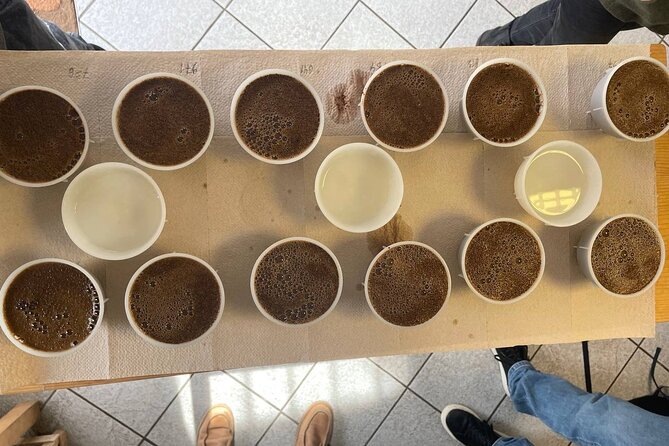 Coffee Sensory Training in Ljubljana - Calibrating your palate with basic tastes