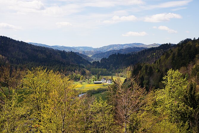 E-bike holidays: Trans Slovenia e-bike tour - Day 6: Karst villages, Štanjel, and Teran