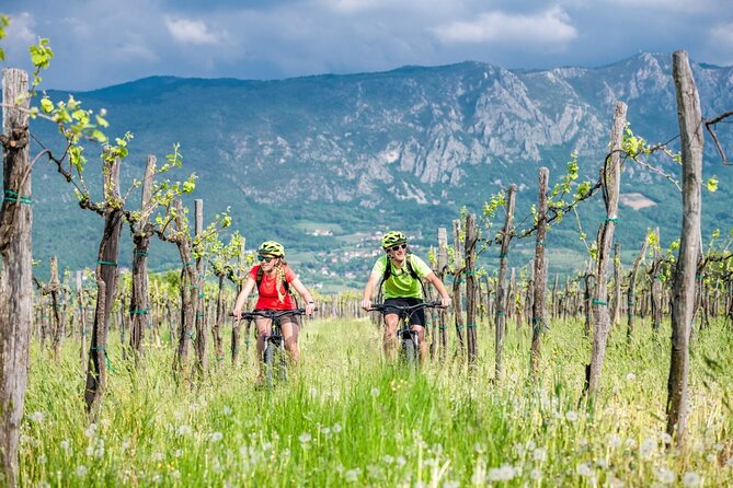 E-Bike Rental in South-West Slovenia - Starting at RockVelo Near Dobravlje