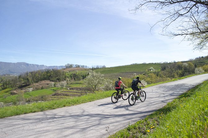 E-bike Vipava River Tour - Ice cream and a walk through Vipava
