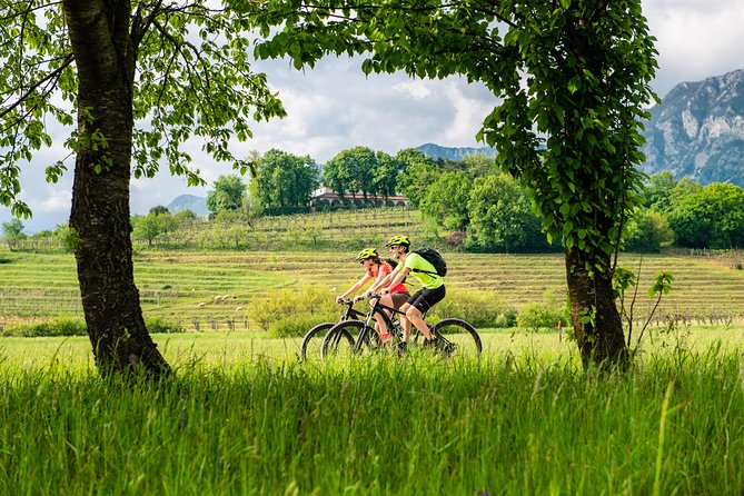 E-bike Vipava River Tour - Coffee and medieval walls at Vipavski Križ