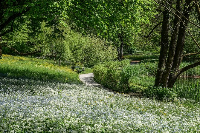 Exploring Ljubljana by Bicycle - Following the Ljubljanica across bridges