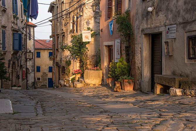 Flavours of Istria Tasting Experience from Koper - Who should book this experience
