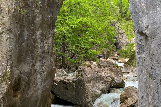 From Bled: Crystal River Hike - Primo’s relaxed guiding style