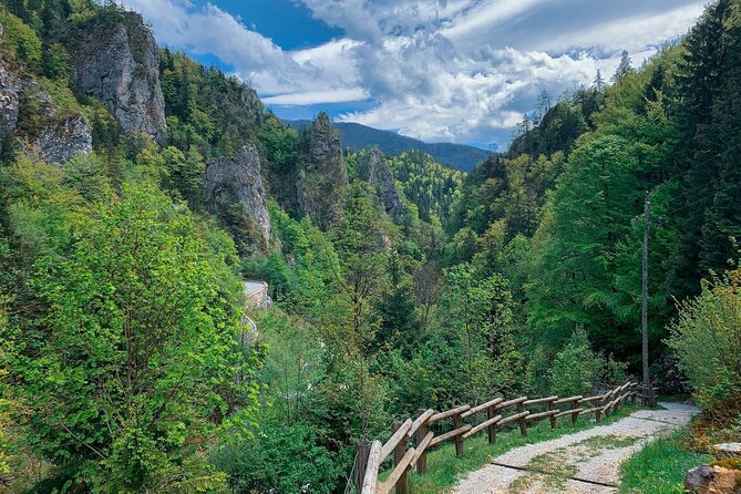 From Bled: Crystal River Hike - What the three-hour itinerary feels like