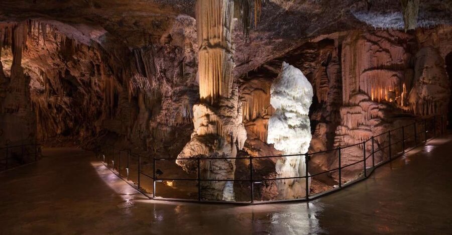 From Koper: 5-Hour Tour to Postojna Cave & Predjama Castle - Looking for the cave’s baby dragons