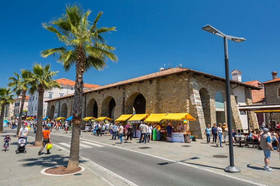 From Koper: Piran and Panoramic Slovenian Coast Tour - A coastal drive with more than one postcard view