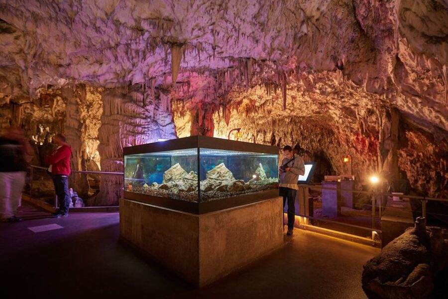 From Ljubljana: Lake Bled & Postojna Cave with Entry Tickets - Why this makes sense from Ljubljana