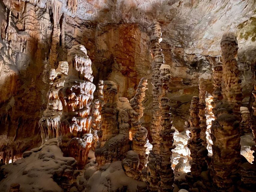 From Ljubljana: Postojna Cave Day Trip - Key points to know before booking