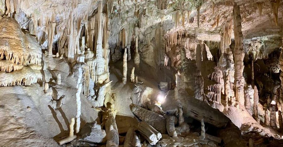 From Ljubljana: Postojna Cave Day Trip - Arriving at Postojna Cave before the 10 AM entry
