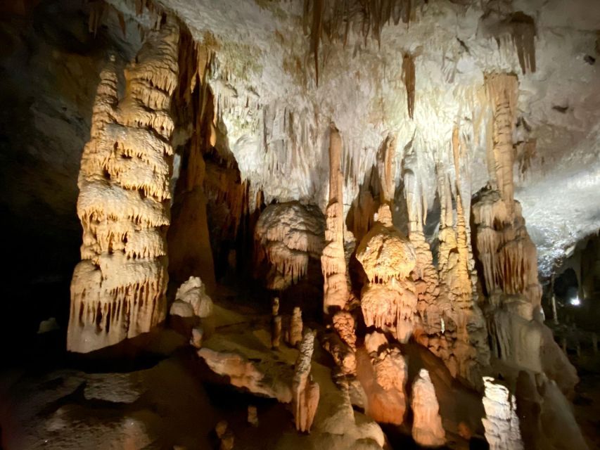 From Ljubljana: Postojna Cave Day Trip - Riding the small train underground