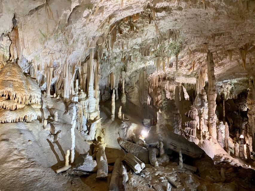 From Ljubljana: Postojna Cave Day Trip - Who should book this Postojna Cave trip?
