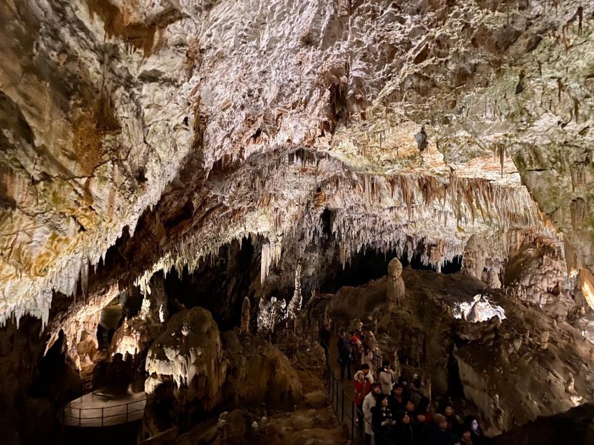 From Ljubljana: Postojna Cave Day Trip - Leaving Ljubljana at 8:30 AM