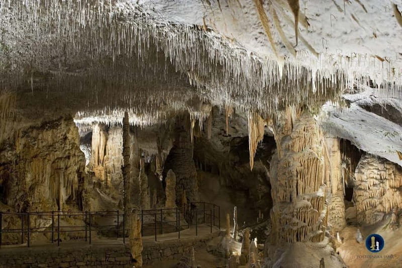 From Ljubljana: Postojna Cave, Predjama Castle, & Piran Tour - Key points at a glance