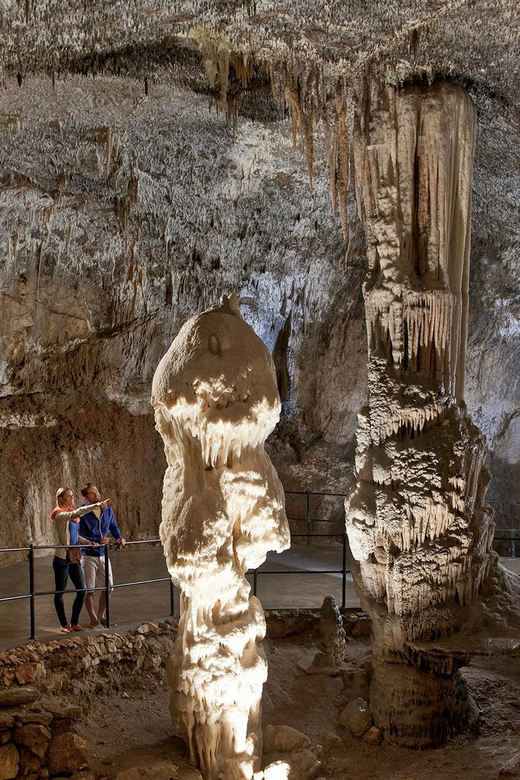 From Ljubljana: Postojna Cave, Predjama Castle, & Piran Tour - Practical advice before you go