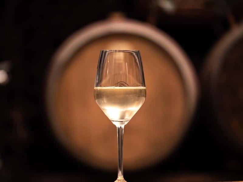 From Ljubljana: Vipava Valley Wine Express Tour - The first estate, where the tour feels most personal