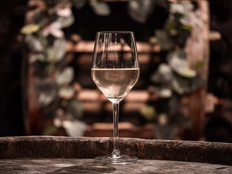From Ljubljana: Vipava Valley Wine Express Tour - Who will enjoy this wine tour most