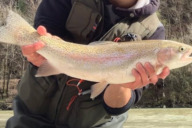 Full Day Private Guided Fishing Charter along the Isonzo Front - The Soča Valley and the marble trout story
