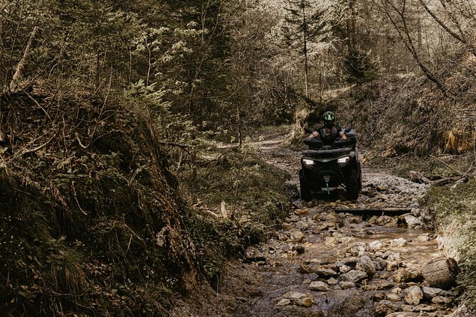 Full-Day Quad Rental in Bled - How the price compares with a regular Bled outing