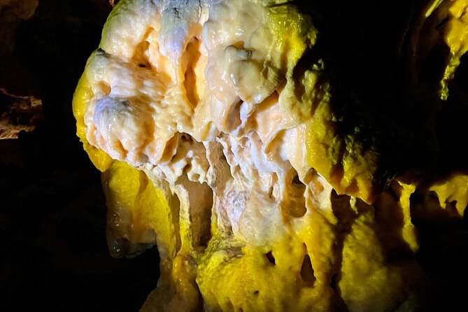 Full-day tour of Postojna Cave and Bled Lake From Ljubljana - Postojna Cave: the train is part of the appeal
