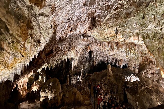Full-day tour of Postojna Cave and Bled Lake From Ljubljana - Booking details worth checking first