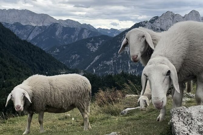 Full-Day Triglav National Park Tour from Ljubljana - Vršič Pass brings legends and high-road scenery