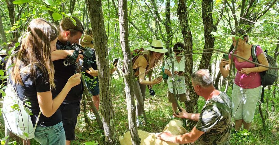 Gažon - Istria: Truffles Hunting & Cooking & Tasting - Key points at a glance