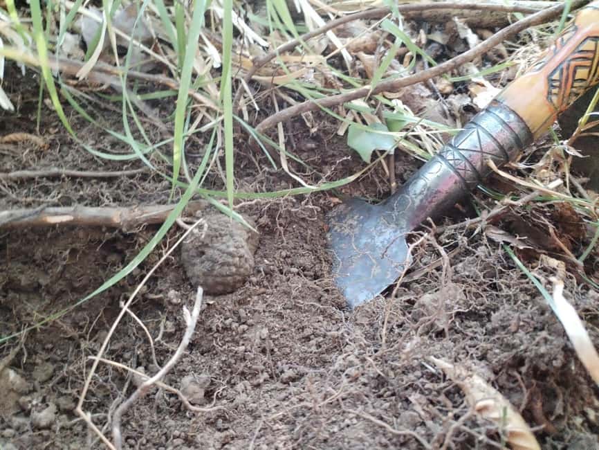 Gažon - Istria: Truffles Hunting & Cooking & Tasting - The guide and the small-group format