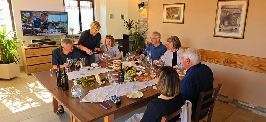 Goriška Brda: Wine Walk and Tasting - Walking through five vineyards