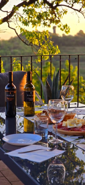 Goriška Brda: Wine Walk and Tasting - Who will enjoy this experience most