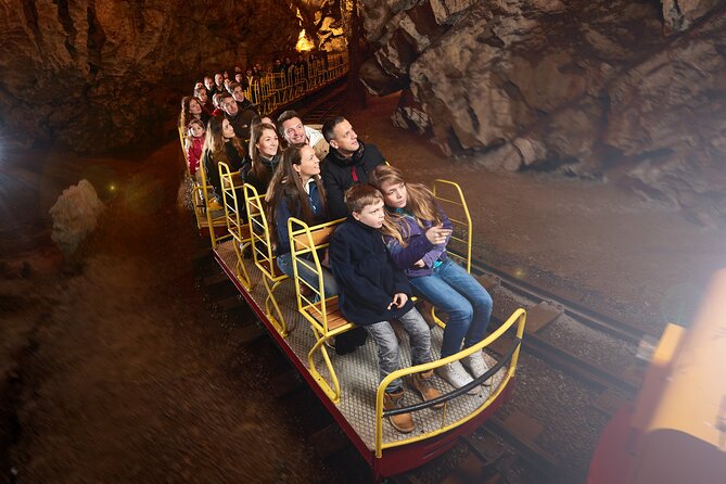 Half day tour to Postojna cave - Private tour from Koper - Predjama Castle, built into the rock