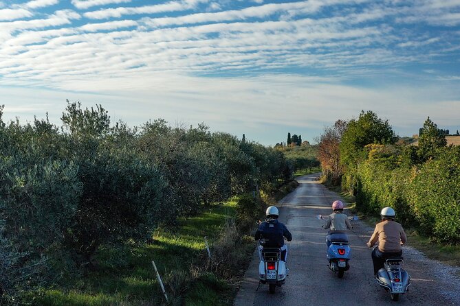 Half Day Vespa Countryside Tour and Tastings in Istria - Padna and the olive oil farm