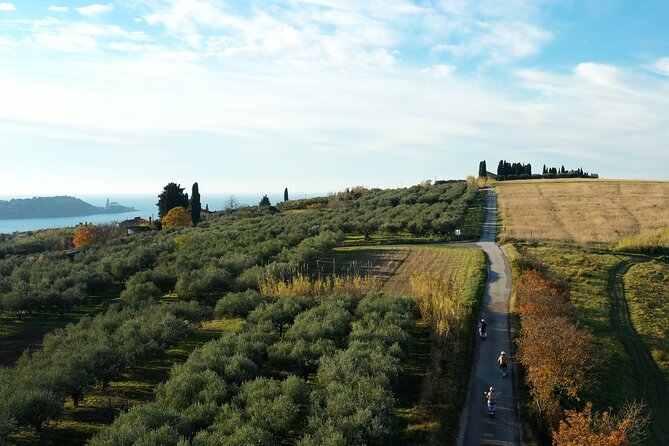 Half Day Vespa Countryside Tour and Tastings in Istria - Group size, comfort, and practical limits