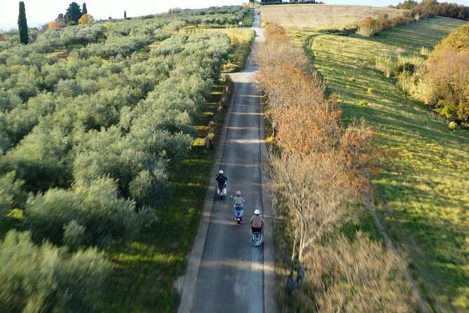Half Day Vespa Countryside Tour and Tastings in Istria - Sečovlje salt flats: an easy first scenic stop