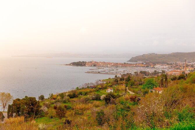 Hop & Taste Slovenian Riviera Hop-On Hop-Off & Local Bites - Key points at a glance