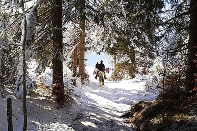 Horse Riding in Bled - Key points for choosing this Bled horse ride