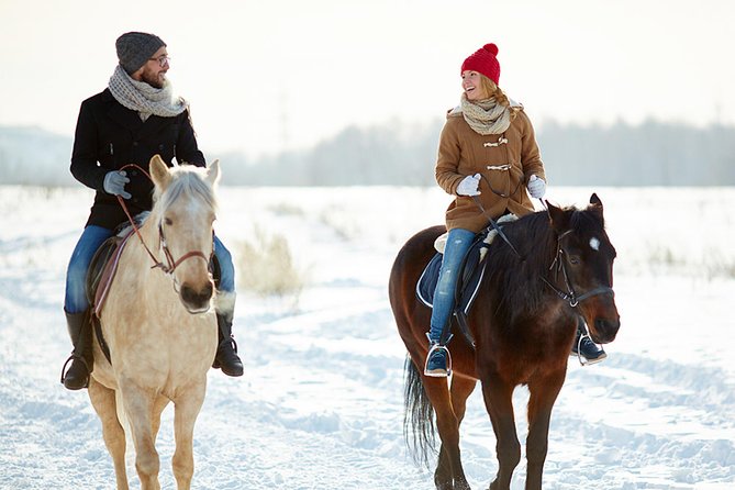 Horse Riding in Bled - Getting fitted and learning the basics