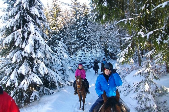 Horse Riding in Bled - Riding out toward Bled’s scenic countryside