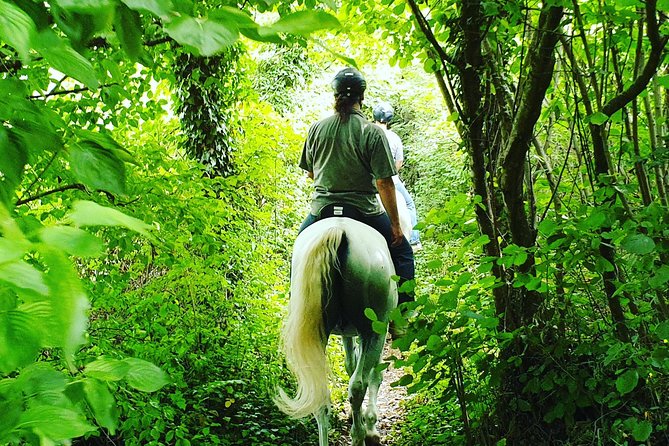 Horseback Riding In Bled - Who will enjoy this and who may not
