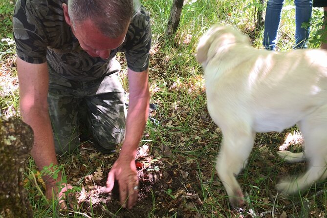 Istria - Truffles: Hunting & Cooking & Tasting, Slovenia - Weather, children, dogs, and food needs